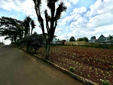 Lote/Terreno à venda, 326m² no Concórdia, Ivoti