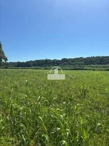 Fazenda/Sítio à venda, 137m² no , Jequitibá