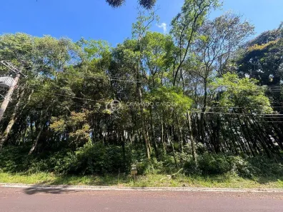 Lote/Terreno à venda, 800m² no Floresta, Gramado