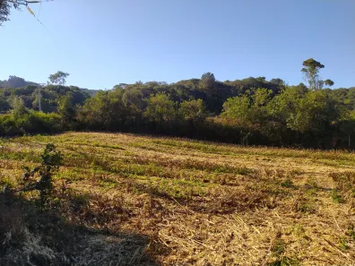 Lote/Terreno à venda, 12700m² no Pacotuba, Almirante Tamandaré
