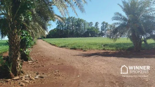Fazenda/Sítio com 2 Quartos à venda, 180m² no Centro, São Jorge do Ivaí