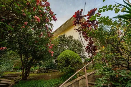 Casa com 3 Quartos à venda, 320m² no Pacaembu, São Paulo