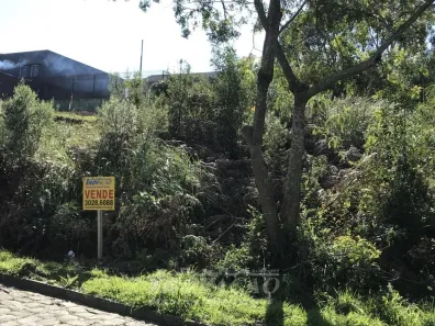 Lote/Terreno à venda, 360m² no Esplanada, Caxias do Sul