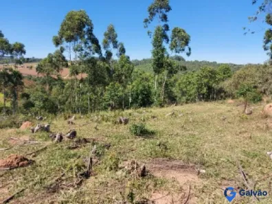 Fazenda/Sítio com 2 Quartos à venda, 116683m² no Pitangal, Jarinu
