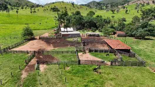 Fazenda/Sítio com 3 Quartos à venda, 60m² no , Campinaçu