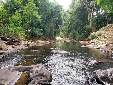Fazenda/Sítio à venda, 23000m² no Vale dos Vinhedos, Bento Gonçalves