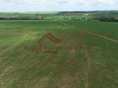 Fazenda/Sítio à venda, 1m² no Área Rural de Bauru, Bauru