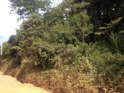 Lote/Terreno à venda, 3700m² no Taboleiro Verde, Cotia