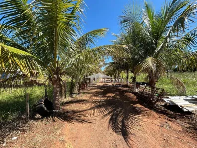 Fazenda/Sítio com 1 Quarto à venda, 175m² no , Ibiporã