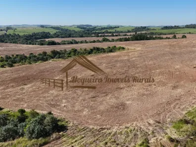 Fazenda/Sítio à venda, 1m² no Área Rural de Itapetininga, Itapetininga