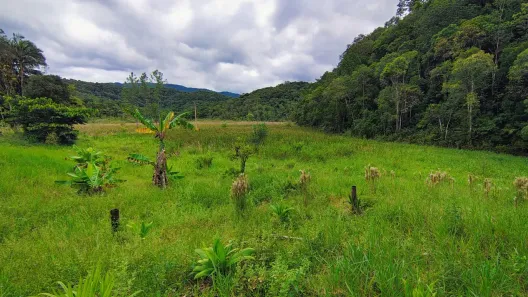 Fazenda/Sítio com 1 Quarto à venda, 121000m² no Centro, Sete Barras