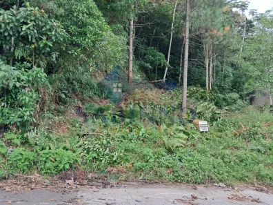 Lote/Terreno à venda, 396m² no Potecas, São José