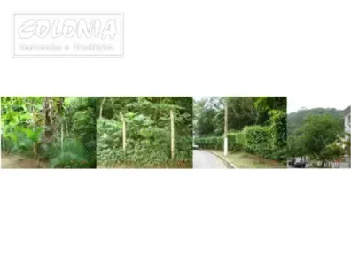 Lote/Terreno à venda, 6500m² no Pitangueiras, Guarujá