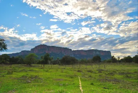 Lote/Terreno à venda, 7000m² no , Aquidauana