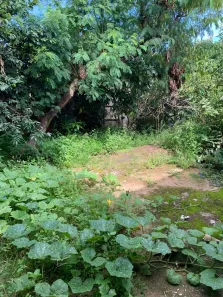 Lote/Terreno à venda, 667m² no Ponte Alta, Betim