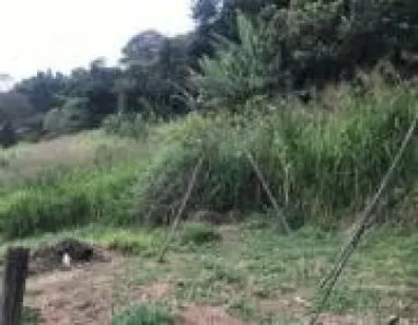 Lote/Terreno à venda, 6132m² no Jardim Maria Tereza, Cotia
