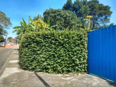 Casa com 3 Quartos à venda, 190m² no Bom Retiro, São José dos Campos