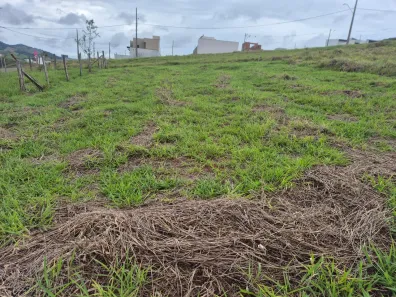 Lote/Terreno à venda, 300m² no Jardim Floresta, Pouso Alegre