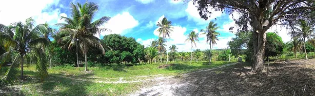 Fazenda/Sítio à venda, 1900000m² no , Conde