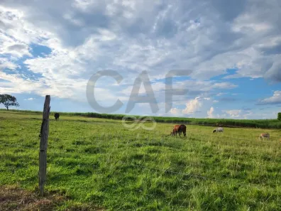 Fazenda/Sítio com 3 Quartos à venda, 10m² no Área Rural de Artur Nogueira, Artur Nogueira
