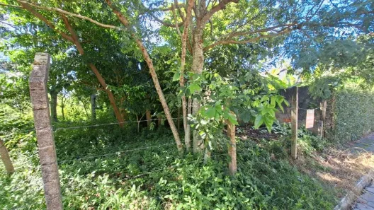 Lote/Terreno à venda, 413m² no Pântano do Sul, Florianópolis