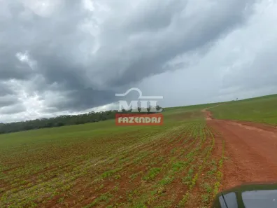 Fazenda/Sítio à venda, 1m² no , Padre Bernardo