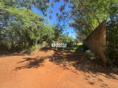 Lote/Terreno à venda, 388m² no Vigilato Pereira, Uberlândia
