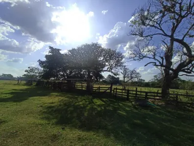 à venda, 22000m² no Tibaia de São Fernando, São Carlos