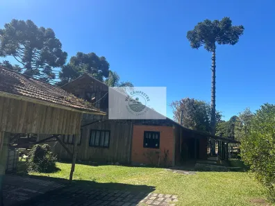 Fazenda/Sítio com 3 Quartos à venda, 32000m² no Rio Vermelho Povoado, São Bento do Sul
