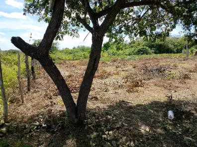 Lote/Terreno à venda, 3500m² no , Barreirinhas