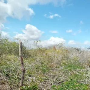 Fazenda/Sítio com 3 Quartos à venda, 4970000m² no , João Câmara