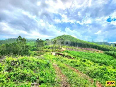 Fazenda/Sítio com 1 Quarto à venda, 5000m² no Linha Nova, Linha Nova
