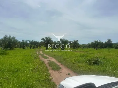 Fazenda/Sítio com 3 Quartos à venda, 351m² no Setor Central, Santa Fé de Goiás