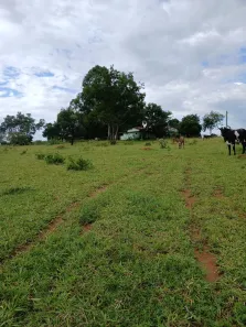 Fazenda/Sítio com 5 Quartos à venda, 160m² no , Bela Vista de Goiás