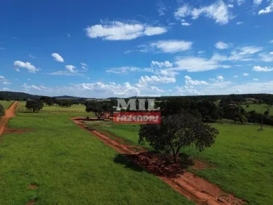 Fazenda/Sítio à venda, 1m² no , Guapó
