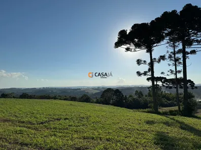 Fazenda/Sítio com 1 Quarto à venda, 1m² no , Balsa Nova