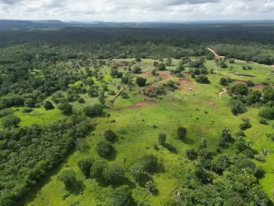 Fazenda/Sítio à venda, 4560000m² no , Carolina