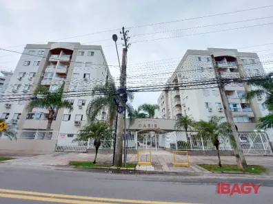 Apartamento com 3 Quartos para alugar, 74m² no Itacorubi, Florianópolis