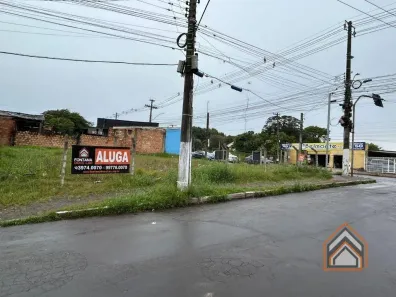 Lote/Terreno para alugar, 464m² no Bela Vista, Alvorada