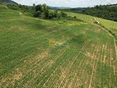 Fazenda/Sítio à venda, 1350000m² no Cachoeira do Carmo, Botelhos