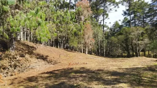 Lote/Terreno à venda, 42400m² no , Sapucaí-Mirim