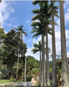 Imóvel Comercial com 4 Quartos à venda, 123000m² no Nossa Senhora da Aparecida, Sapucaia