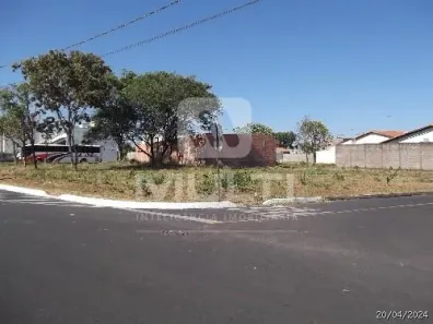 Lote/Terreno com 1 Quarto para alugar, 317m² no Granada, Uberlândia