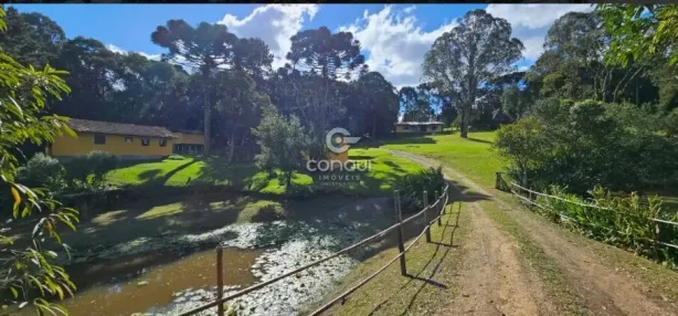 Fazenda/Sítio com 5 Quartos à venda, 45000m² no Colônia Murici, São José dos Pinhais