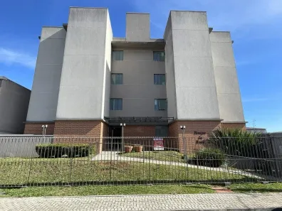 Apartamento com 3 Quartos à venda, 59m² no Parque da Fonte, São José dos Pinhais