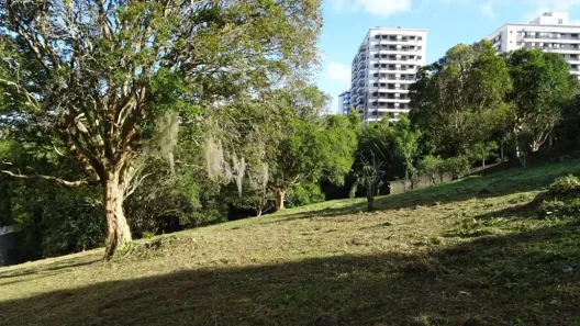 Lote/Terreno à venda, 6395m² no Itacorubi, Florianópolis