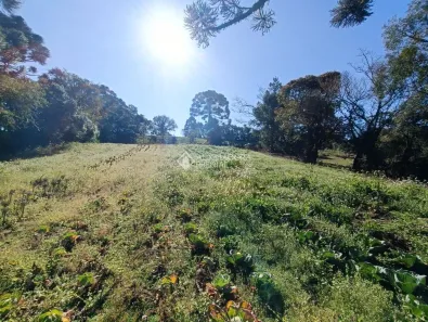 Fazenda/Sítio à venda, 19271m² no Colônia Murici, São José dos Pinhais