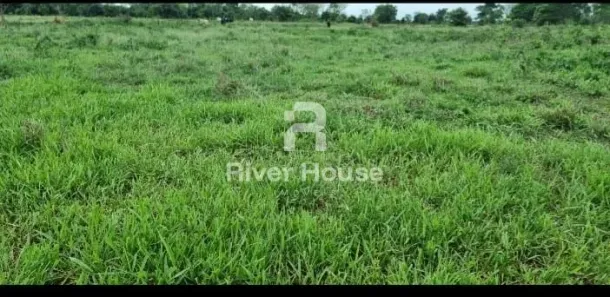 Fazenda/Sítio com 3 Quartos à venda, 180m² no Engenho Velho, Santo Antônio de Leverger