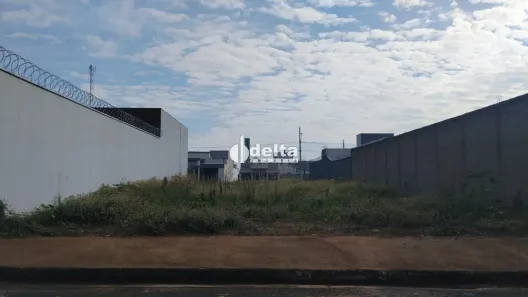 Lote/Terreno à venda, 300m² no Novo Mundo, Uberlândia