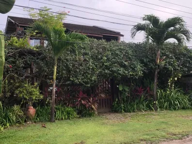 Imóvel Comercial com 4 Quartos à venda, 340m² no Maria Farinha, Paulista